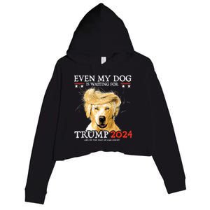 Even My Dog Is Waiting For Trump 2024 Crop Fleece Hoodie