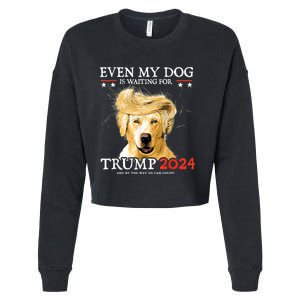 Even My Dog Is Waiting For Trump 2024 Cropped Pullover Crew