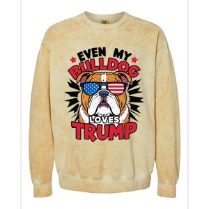 Even My Dog Loves Trump 2024 Election Trump Supporter Colorblast Crewneck Sweatshirt