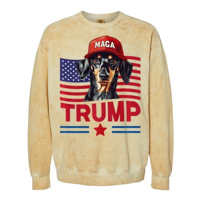 Even My Dog Loves Trump Funny Dachshund Maga Hat Premium Colorblast Crewneck Sweatshirt