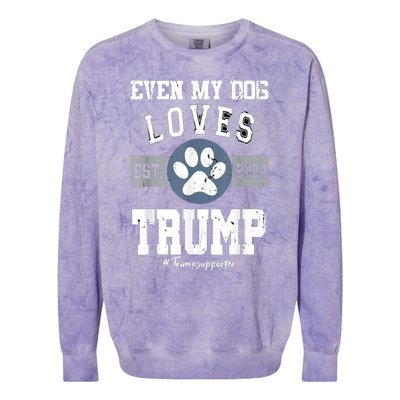 Even My Dog Loves Trump Usa Flag Election Trump Support Colorblast Crewneck Sweatshirt