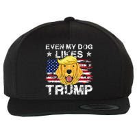 Even My Dog Likes Trump 2024 Supporter Vote Wool Snapback Cap