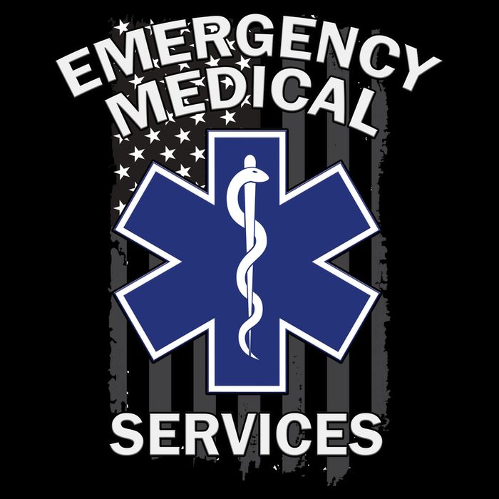 Emergency Medical Services Flag Kids T-Shirt