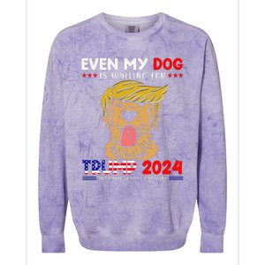 Even My Golden-Retriever Dog Is Waiting For Trump 2024 Tee Colorblast Crewneck Sweatshirt