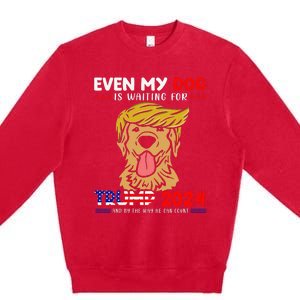 Even My Golden-Retriever Dog Is Waiting For Trump 2024 Tee Premium Crewneck Sweatshirt