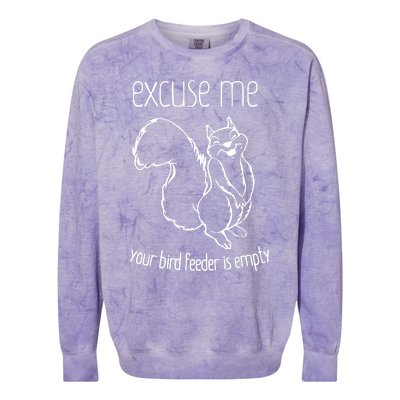 Excuse Me Your Bird Feeder Is Empty Colorblast Crewneck Sweatshirt