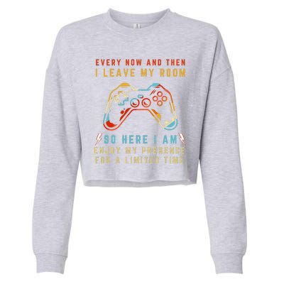 Every Now And Then I Leave My Room Funny Gaming Gamer Gift Cropped Pullover Crew