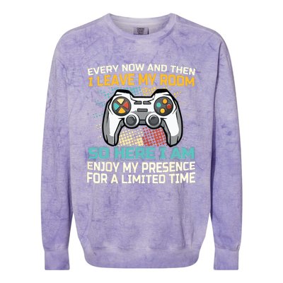 Every Now And Then I Leave My Room Funny Gaming Gamer Gift Colorblast Crewneck Sweatshirt