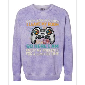 Every Now And Then I Leave My Room Funny Gaming Colorblast Crewneck Sweatshirt