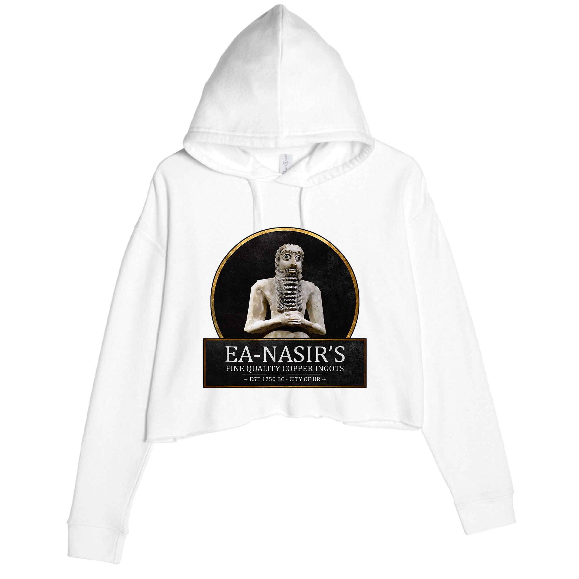 Ea NasirS Copper Ingots Funny Bronze Age History Meme Crop Fleece Hoodie