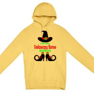 Endoscopy Nurse Gift Halloween Witch Hat Nursing Gift Premium Pullover Hoodie