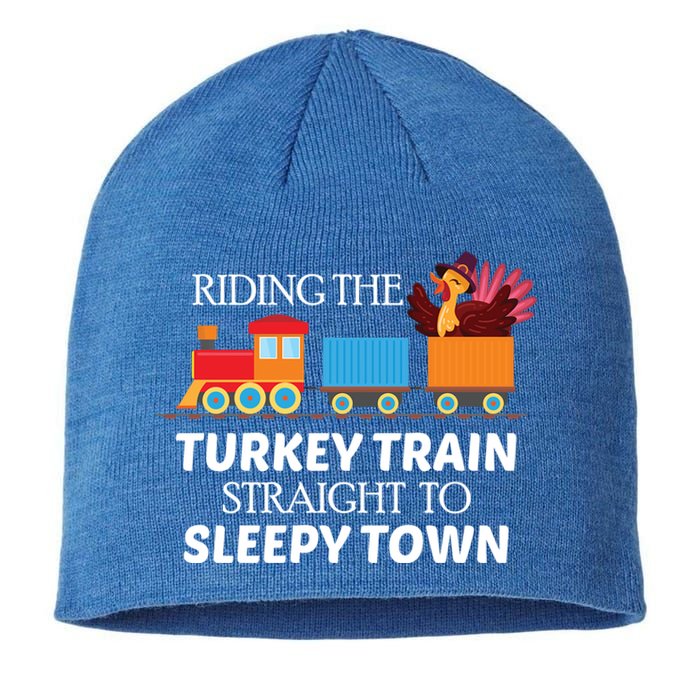 Expert Napper Gravy Lovers Turkey Feast Turkey Train Meaningful Gift Sustainable Beanie