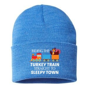 Expert Napper Gravy Lovers Turkey Feast Turkey Train Meaningful Gift Sustainable Knit Beanie