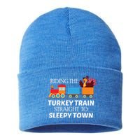 Expert Napper Gravy Lovers Turkey Feast Turkey Train Meaningful Gift Sustainable Knit Beanie