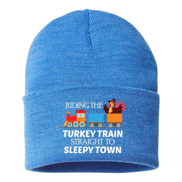 Expert Napper Gravy Lovers Turkey Feast Turkey Train Meaningful Gift Sustainable Knit Beanie