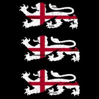 England Euro 21 English Lions Soccer Fan Flag Backpack