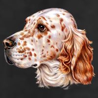 English Setter Dog 7 Panel Mesh Trucker Snapback Hat