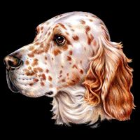 English Setter Dog Impact Tech Backpack