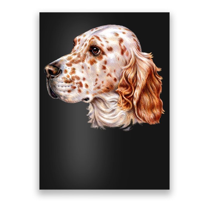 English Setter Dog Poster