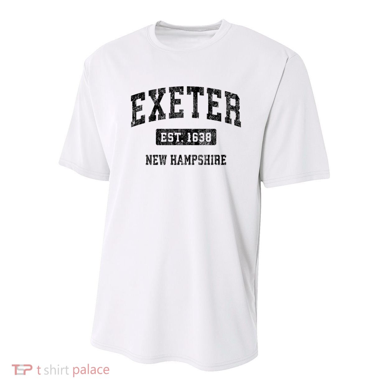 Exeter New Hampshire NH Vintage Sports Youth Performance Sprint T-Shirt