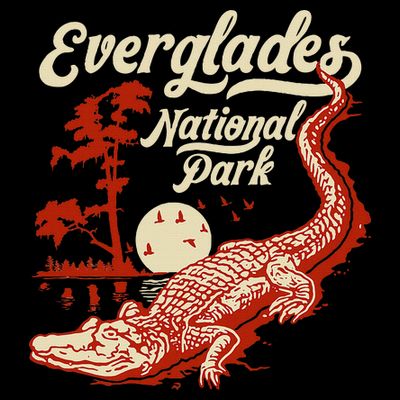 Everglades National Park Vintage Crocodile Alligator Florida T-Shirt