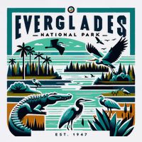 Everglades National Park Florida Modern Women's V-Neck T-Shirt