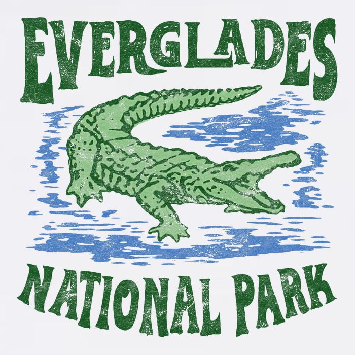 Everglades National Park Florida Retro Alligator Wool Snapback Cap