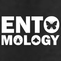 Entomology Logo 11oz C Handle Ceramic Mug
