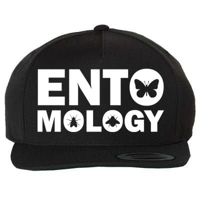 Entomology Logo Wool Snapback Cap