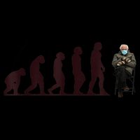 Evolution Of Bernie Sanders Mittens Meme Bag
