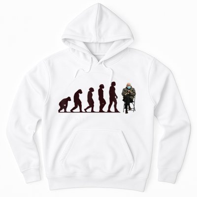 Evolution Of Bernie Sanders Mittens Meme Hoodie