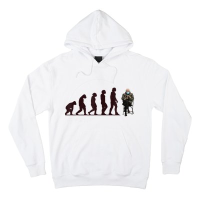 Evolution Of Bernie Sanders Mittens Meme Hoodie