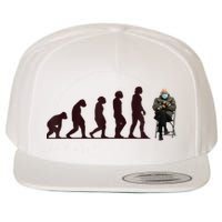 Evolution Of Bernie Sanders Mittens Meme Wool Snapback Cap
