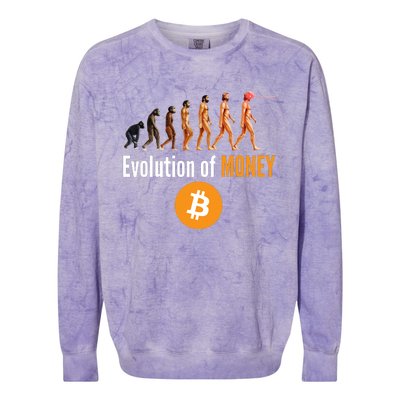 Evolution Of Bitcoin, BTC, Crypto, Cryptocurrency, Blockchain, HODL Bitcoin Colorblast Crewneck Sweatshirt