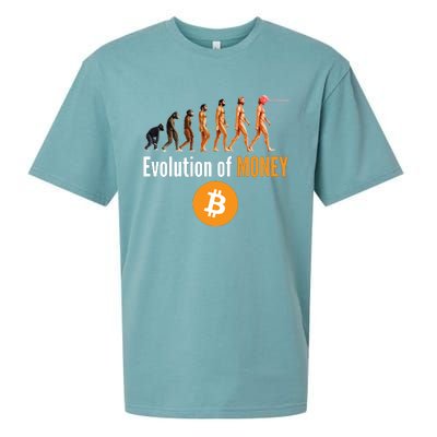 Evolution Of Bitcoin, BTC, Crypto, Cryptocurrency, Blockchain, HODL Bitcoin Sueded Cloud Jersey T-Shirt