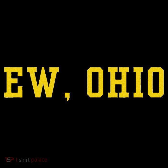 Ew Ohio Generation Z & Gen Alpha Brain Rot Funny Slang Button