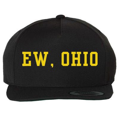 Ew Ohio Generation Z & Gen Alpha Brain Rot Funny Slang Wool Snapback Cap