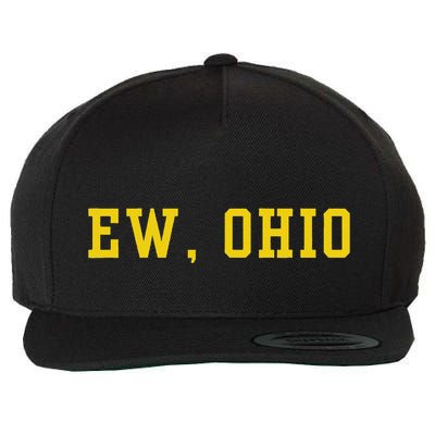 Ew Ohio Generation Z & Gen Alpha Brain Rot Wool Snapback Cap