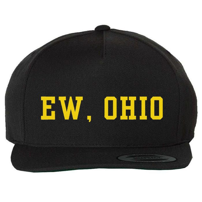 Ew Ohio Generation Z & Gen Alpha Brain Rot Wool Snapback Cap