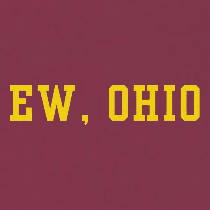 Ew Ohio Generation Z & Gen Alpha Brain Rot 16oz Travel Tumbler