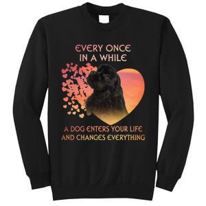 Every Once In A While American Cocker Spaniel dog Sweatshirt