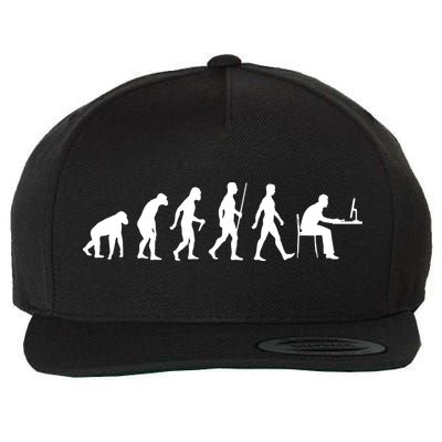 Evolution Of Man Computer Programmer Funny Geek Lover IT Wool Snapback Cap