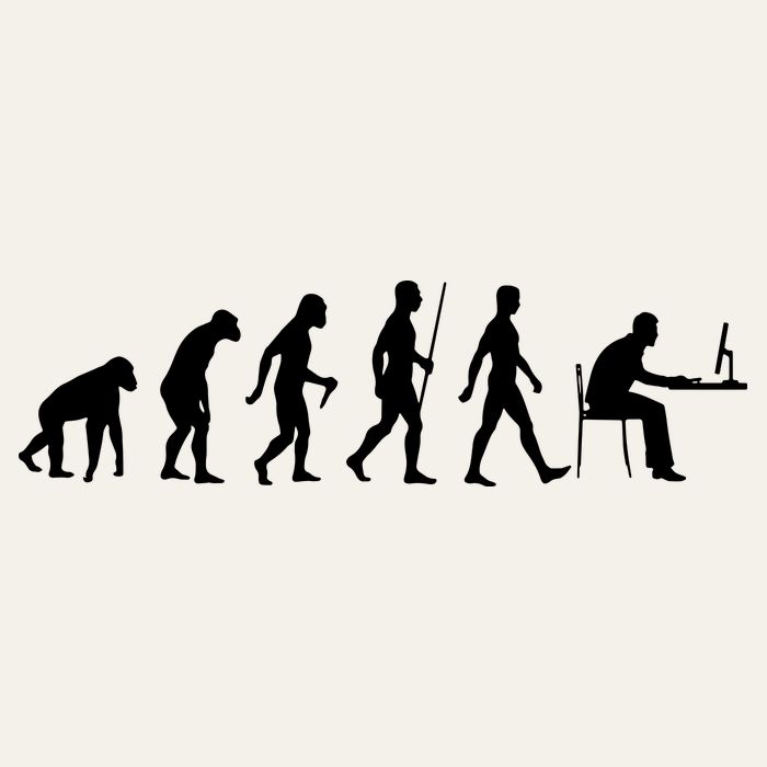 Evolution Of Man Computer Programmer Funny Geek Lover IT Poster