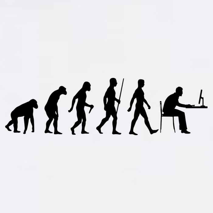 Evolution Of Man Computer Programmer Funny Geek Lover IT Garment-Dyed Sweatshirt