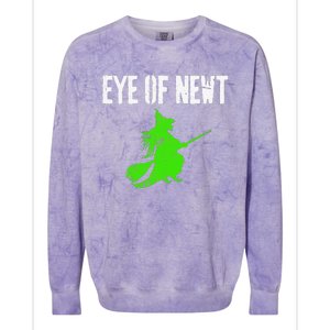 Eye Of Newt Halloween Witch Colorblast Crewneck Sweatshirt