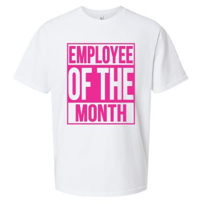 Employee Of The Month Reward Gift For Best Worker Sueded Cloud Jersey T-Shirt