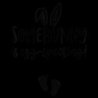 Easter Pregnancy Announcement Somebunny Is Eggspecting 16 in Basic Backpack