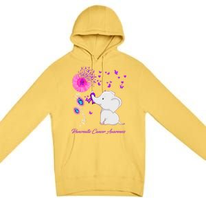 Elephant Pancreatic Cancer Awareness Funny Gift Pancreatic Cancer Gift Premium Pullover Hoodie