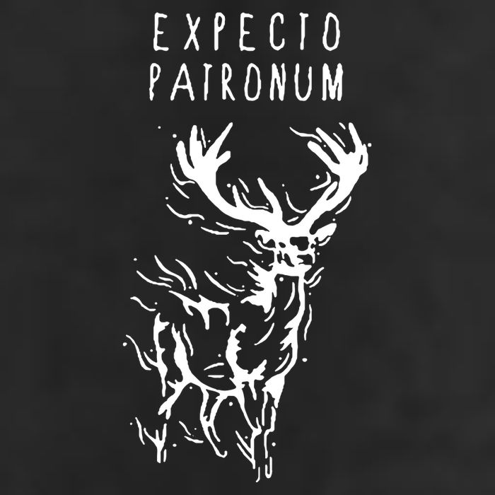 Expecto Patronum Adult Drive Performance Visor