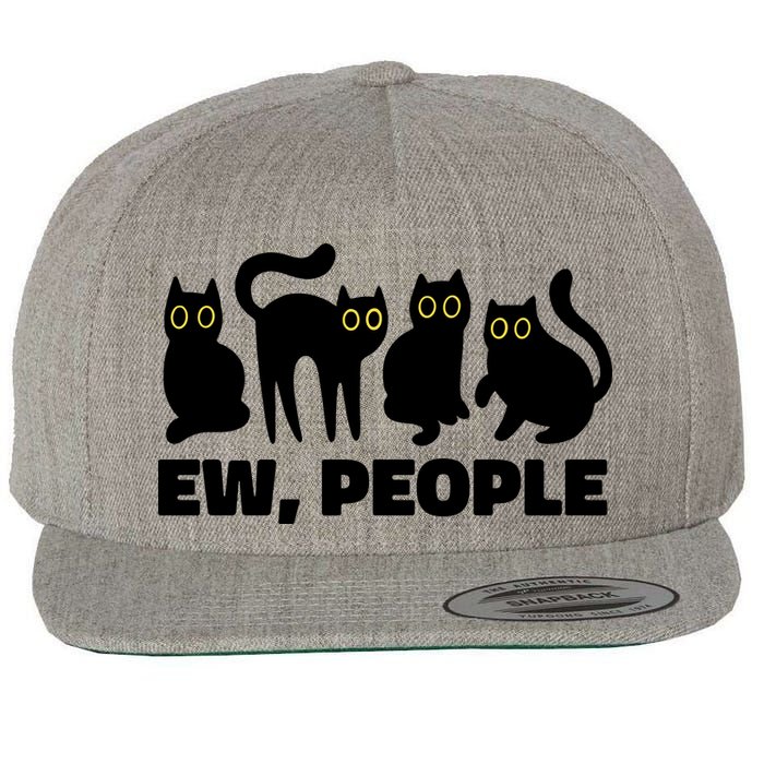 Ew People Funny Cat Lover Wool Snapback Cap